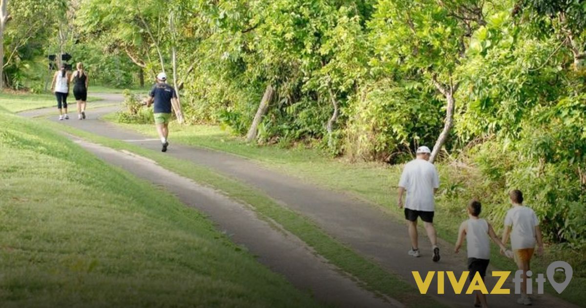 vivaz-fit-academia-centro-de-treinamento-juiz-de-fora-lpf-exercícios-dor-costas bíceps resultado academia caminhada